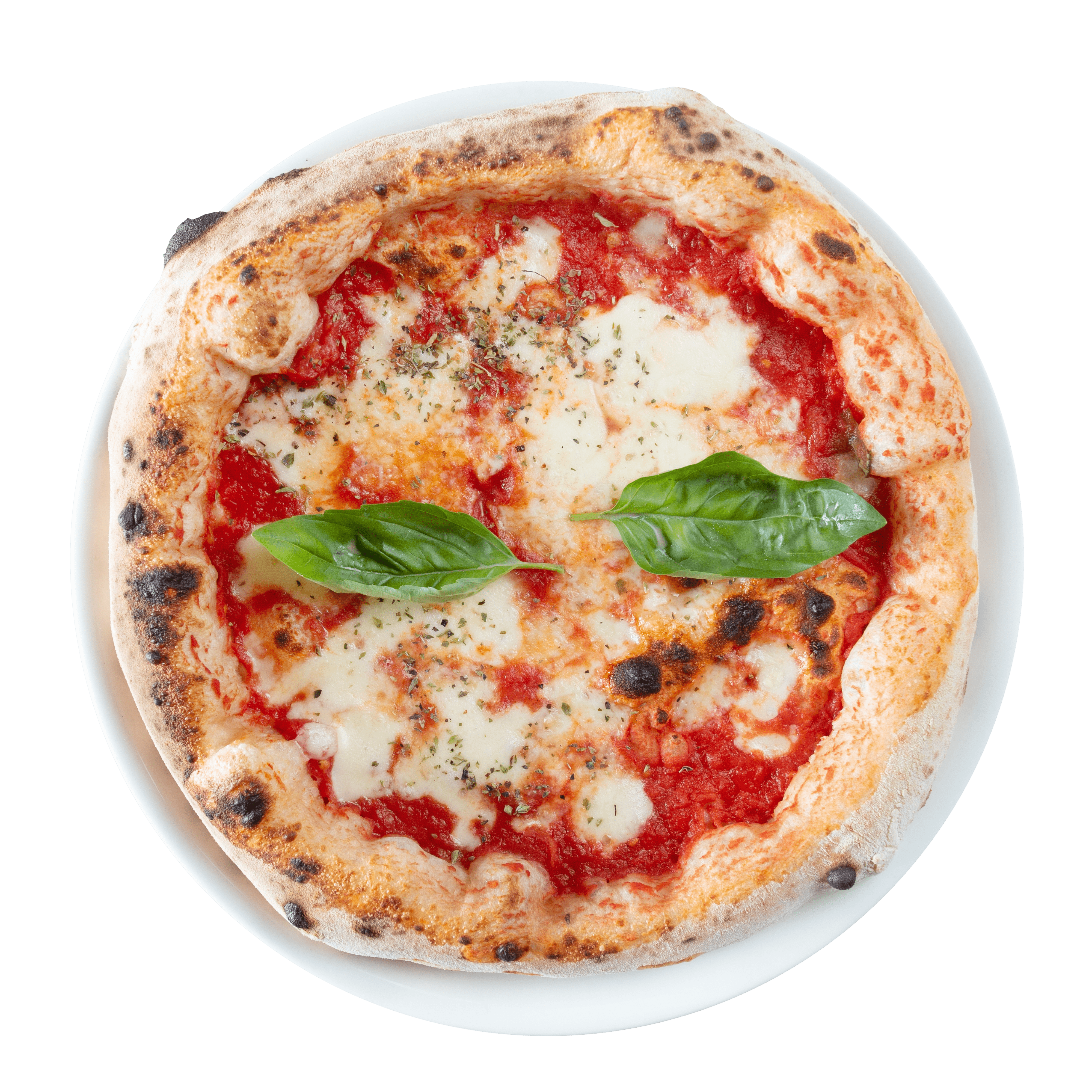Pizza Margherita